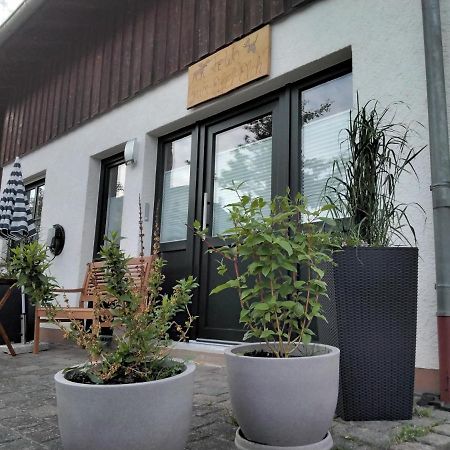 Ferienwohnung Zum Eifelelch Даун Экстерьер фото